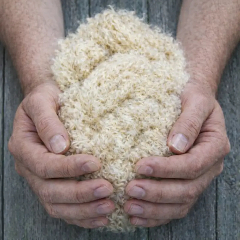 asilamiento lana roca sant cugat vallès