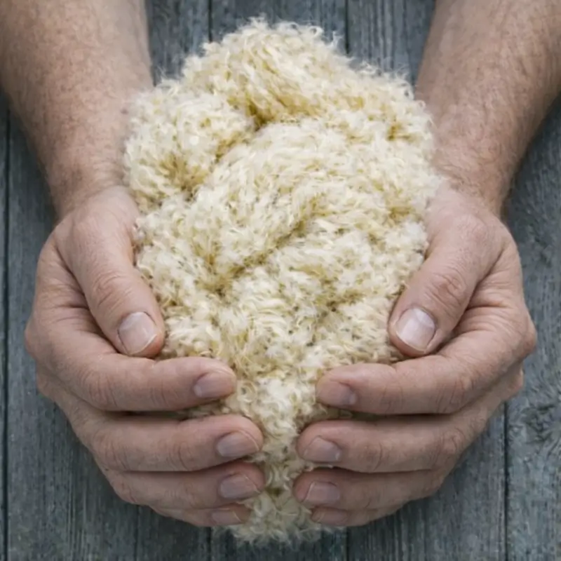 asilamiento lana roca santa coloma gramenet